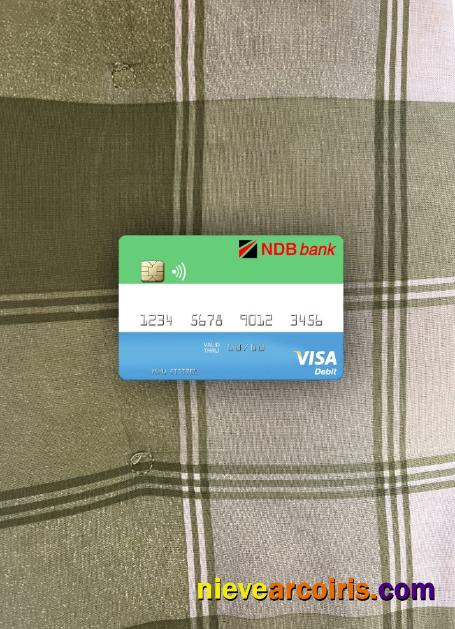 Sierra Leone National Development Bank visa debit card photolook